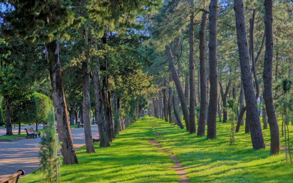 Аллея Батумского бульвара